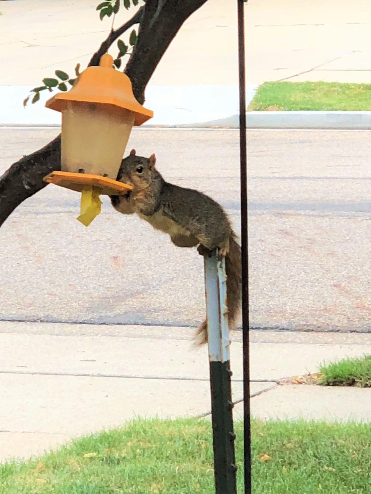 Stretching for breakfast